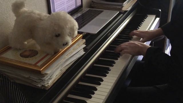 AVE MARIA Bach/Gounod АВЕ МАРИЯ смотреть онлайн