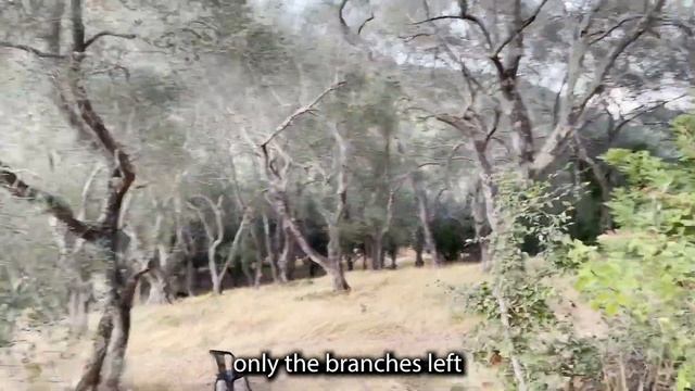 Spooky monastery in corfu! | Hiking in Benitses, Corfu (Indonesian sub) смотреть онлайн