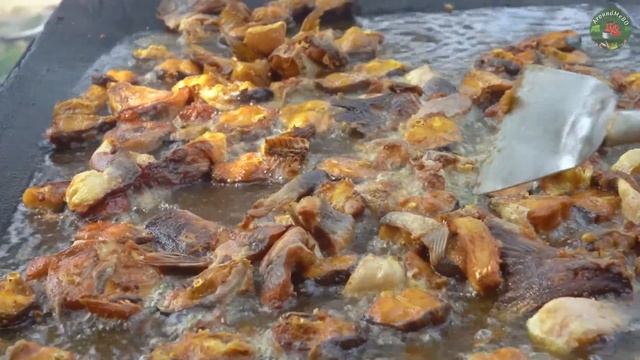 Mango Fish Gravy Cooking - Raw AAM Mix Pangasius Fish Curry Recipe - Delicious Village Food смотреть онлайн