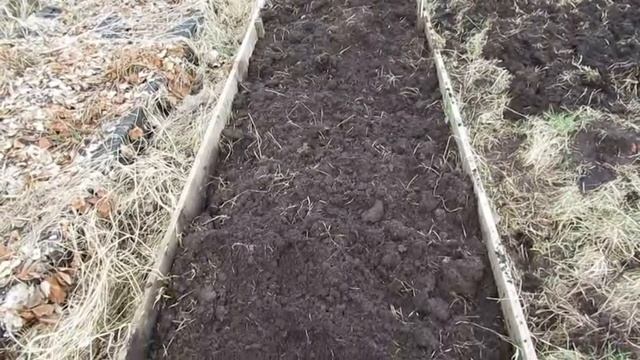 Наша дача - 2020 г. Апрель - готовим гряды и картофель на посадку, сею бархатцы. смотреть онлайн