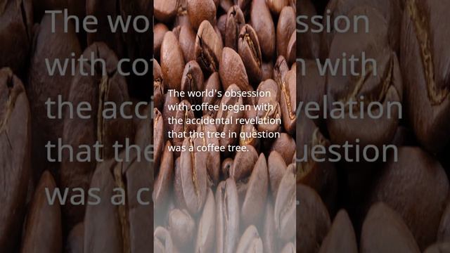 Fun Coffee Facts: The Dancing Goats and the Magical Seeds смотреть онлайн
