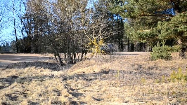 Ford Kuga. Проход левый 3 минус смотреть онлайн