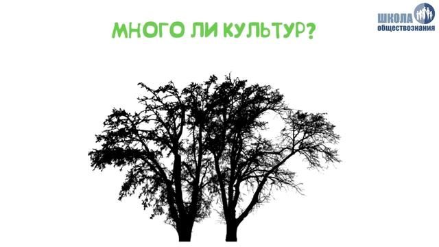 Сфера духовной культуры Обобщение смотреть онлайн