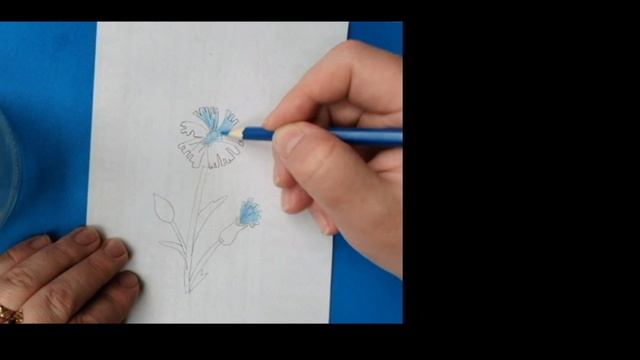 Васильки смотреть онлайн