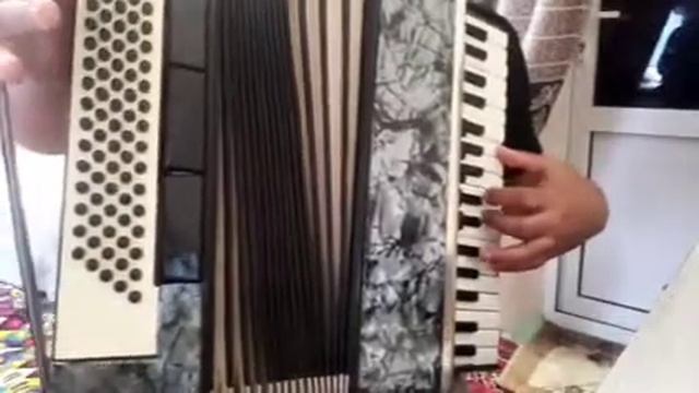 Accordion Contasina 3/4 razmer Madi in Germany смотреть онлайн