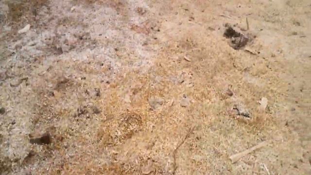 Утеплитель из опилок ? смотреть онлайн