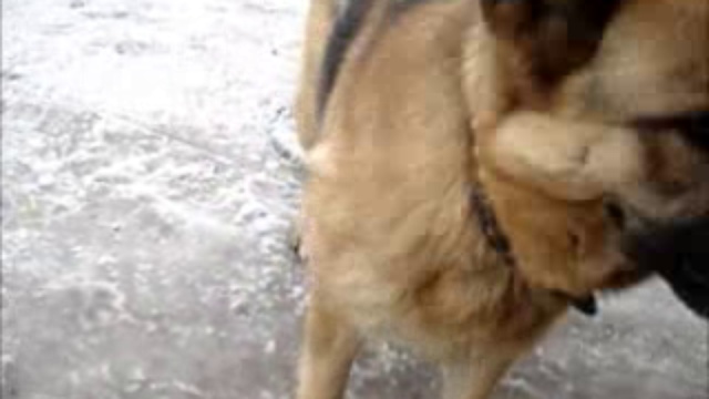 Подвижная девчонка смотреть онлайн