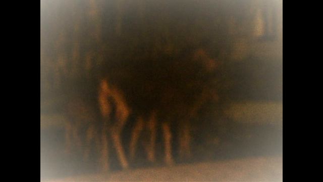 Лосиха с лосятами 08.08.2018 ночью у "России" в Заречном - J. S. Bach. Musette. On d.p. "Casio" смотреть онлайн