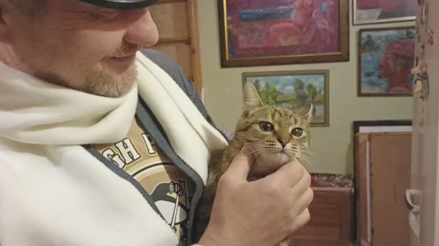 Новый Остап Бендер. Он пробует Беляш и решает жениться.