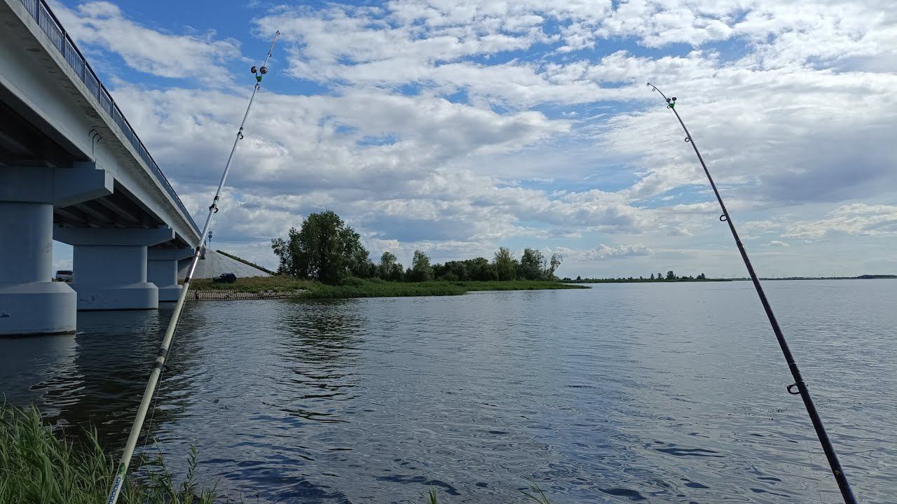 5кг густеры+ небольшой лещ.Рыбалка на реке Малый Иргиз 26.06.2024г. Донки, сало, тапки. смотреть онлайн