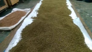 гранулы для кроликов часть2, вот что получилось