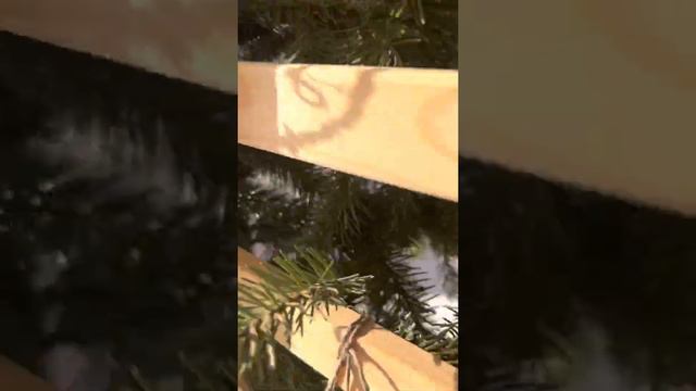 Ёлка в феврале смотреть онлайн