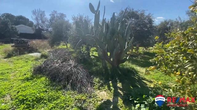 Plot of 1,028sqm in Agios Tychonas, Limassol смотреть онлайн