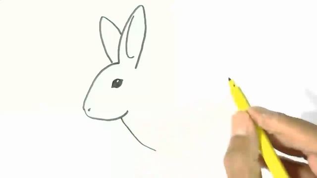 How to draw a rabbit or bunny- in easy steps advanced tutorial смотреть онлайн