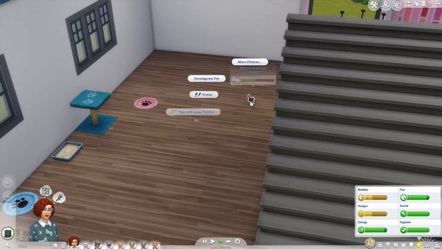Crazy Cat Lady Challenge II The Sims 4 - Cats and Dogs II Part 1 - Herding Cats смотреть онлайн