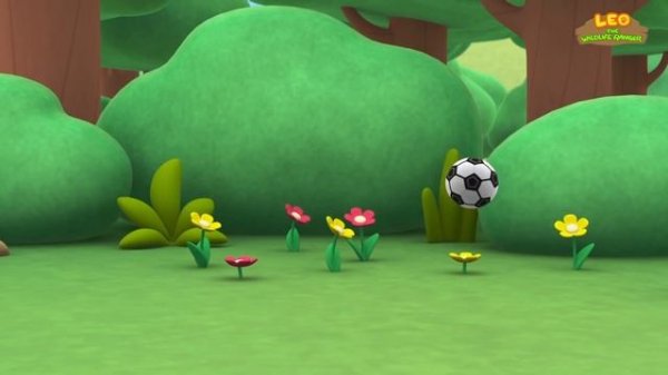 Shy Animals Videos Compilation | Leo the Wildlife Ranger | Fun Animal Show! | Kids Cartoons