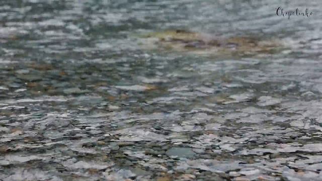 Гора обезьян на полуострове Изу. Путешествие по Японии. смотреть онлайн