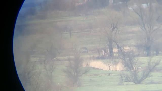 Попадание из противотанкового комплекса по бронемашине ВСУ смотреть онлайн