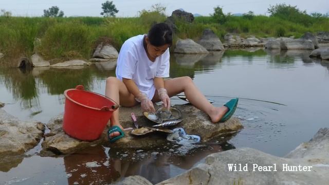 Pearl hunter hunts for treasure in the shallows, giant mussels, perfect golden pearls смотреть онлайн