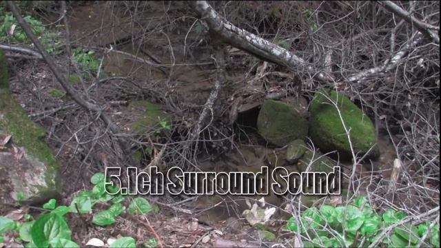 Canon SM-V1 5.1ch Surround Sound Microphone Test смотреть онлайн