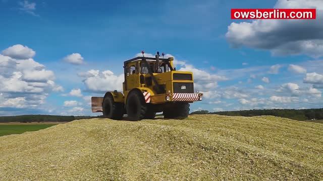 Заготовка силоса - Кировец К-700А смотреть онлайн