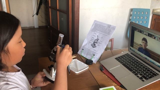 Микроскоп.История. Виды.Микропрепараты. Приготовление временного микропрепарата.