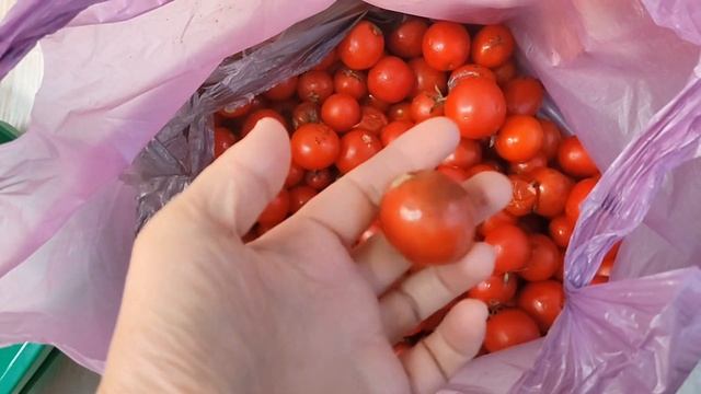 Мастерство и Спонтанность