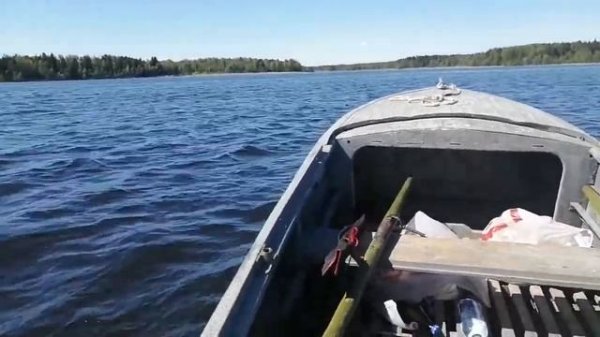 Казанка и Tohatsu 5