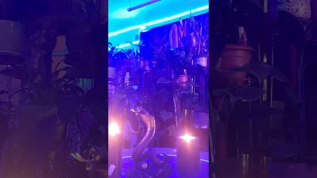 Рассорки рабочие. И мощьные смотреть онлайн