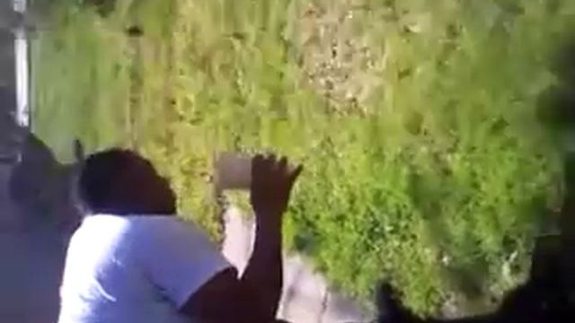 cinnamon challenge by my lil bro nick смотреть онлайн