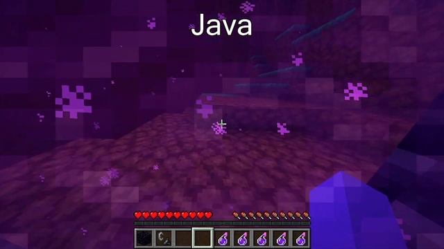 Minecraft Java vs Bedrock (2): what will happen if we throw potion into the portal in both version смотреть онлайн