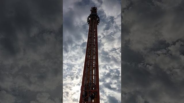 Сочи парк 11.11.23 ???️Жар птица, полёт в космос смотреть онлайн