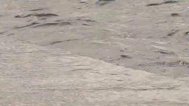Нева смотреть онлайн