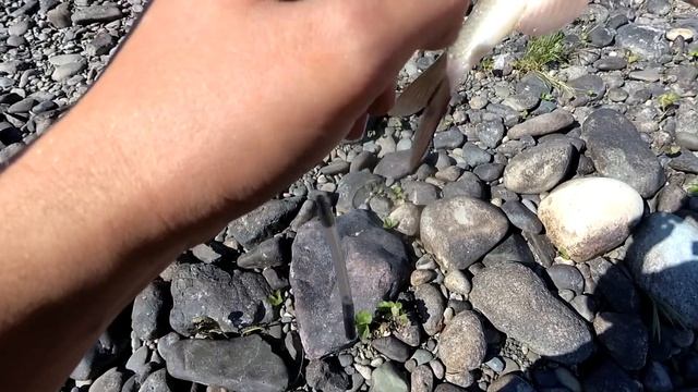 Закрытие водометного сезона. Рыбалка в 2017. Архив. (Часть 2) смотреть онлайн