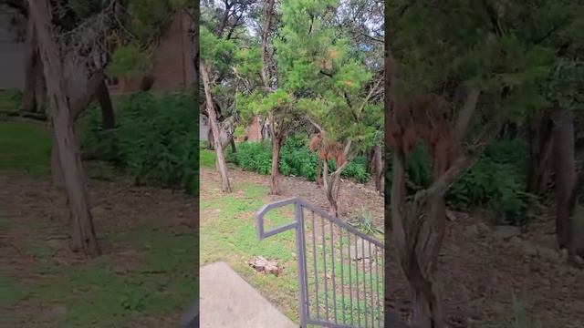 Еду смотреть коммьюнити для переезда в Остине, Техас || Критерии выбора жилья Часть 1 смотреть онлайн