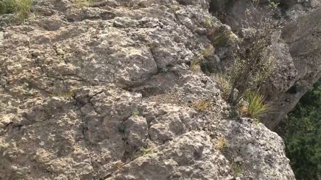 Боткинская тропа смотреть онлайн