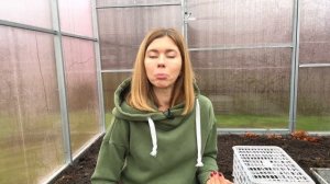 Четыре способа, как сохранить хризантему мультифлора зимой