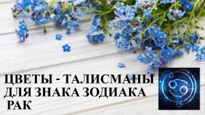 ЦВЕТЫ - ТАЛИСМАНЫ ДЛЯ ЗНАКА ЗОДИАКА- РАК.