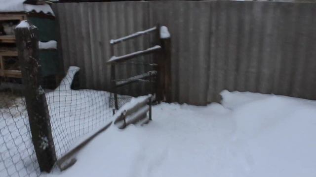 Маточники для кроликов, премиксы для кроликов , почему не люблю рулоны с сеном. смотреть онлайн