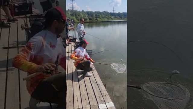 Trout king fest. Рыбхоз Бисерово. 23.07.2022 смотреть онлайн
