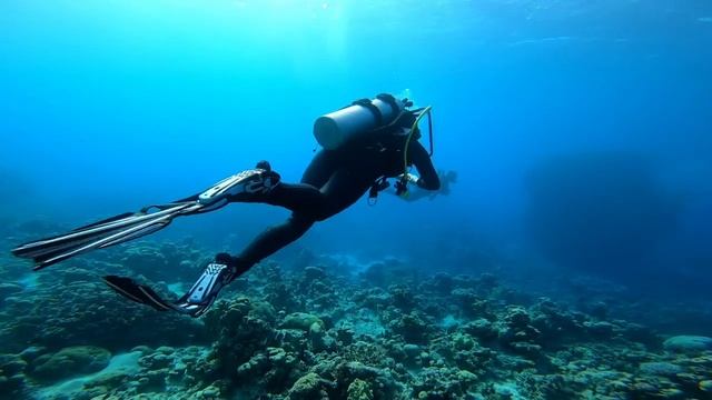 Scuba Woman Check Dive смотреть онлайн