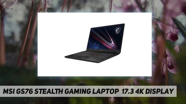 MSI GS76 Stealth Gaming Laptop: 17.3 4K Display - Review 2023 смотреть онлайн