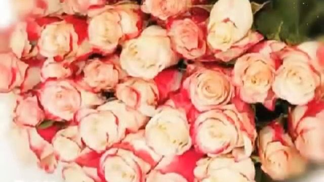 С Праздником всех Мусульман смотреть онлайн