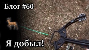 Добыл оленя с 20 шагов из арбалета со слабыми плечами