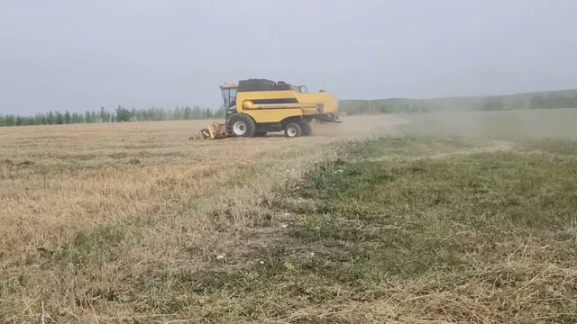 Уборка овса 2021 год. смотреть онлайн