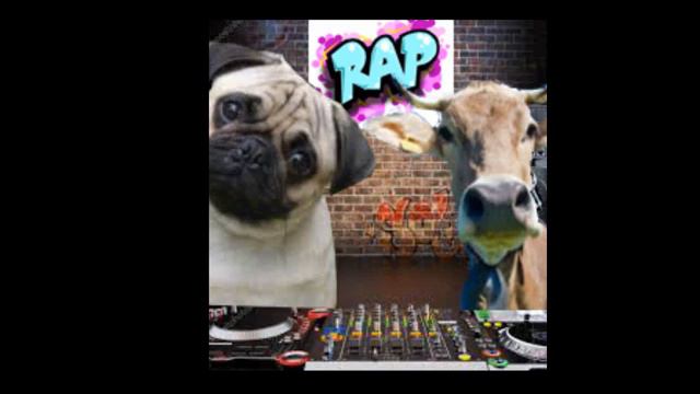 RAP BOI E PUG - Melhor rap ever смотреть онлайн