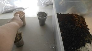 Грунт для ароидных (филодендрон, монстера и другие)