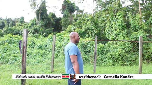Minnh - Minister Dodson op Werkbezoek te Kalebaskreek,Cornelis Kondre en Donderskamp смотреть онлайн