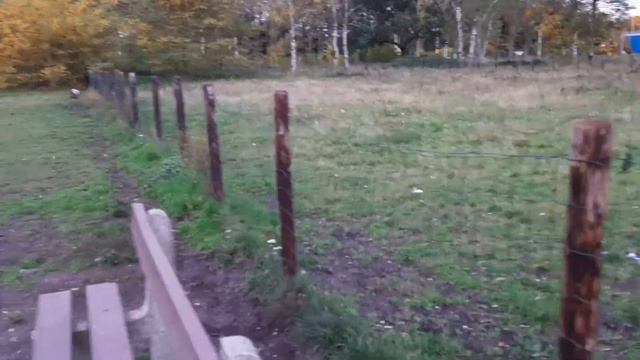 americanstaff ve cane corso rottweiler karşılaştırma ... . pitbull turkiye . belçika gurbetci.. смотреть онлайн