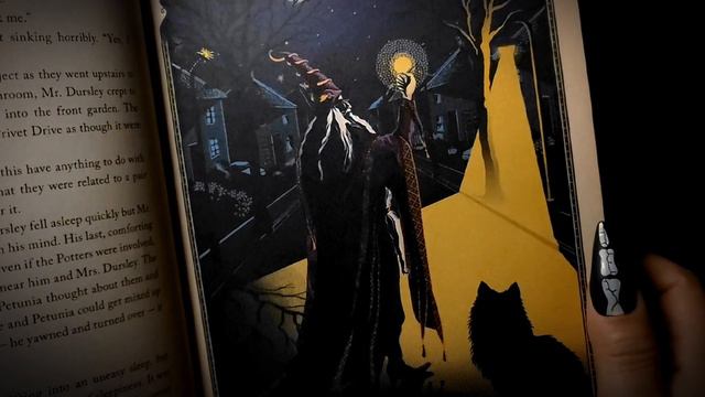 Harry Potter And The Sorcerer's Stone Ch1 #readaloud